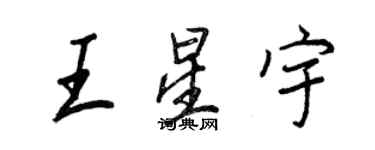 王正良王星宇行书个性签名怎么写