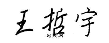王正良王哲宇行书个性签名怎么写
