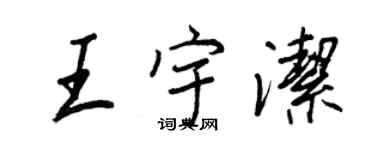 王正良王宇洁行书个性签名怎么写