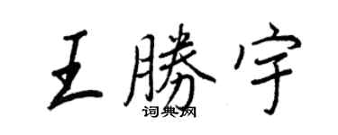 王正良王胜宇行书个性签名怎么写