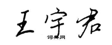 王正良王宇君行书个性签名怎么写
