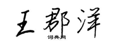 王正良王郡洋行书个性签名怎么写