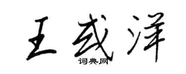 王正良王或洋行书个性签名怎么写