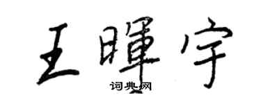 王正良王晖宇行书个性签名怎么写