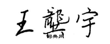 王正良王龚宇行书个性签名怎么写