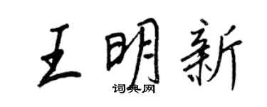 王正良王明新行书个性签名怎么写
