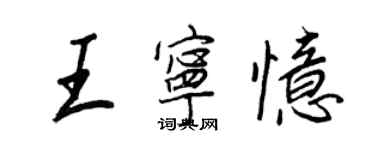 王正良王宁忆行书个性签名怎么写