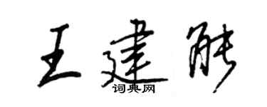 王正良王建能行书个性签名怎么写