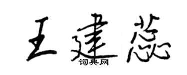 王正良王建蕊行书个性签名怎么写