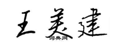 王正良王美建行书个性签名怎么写