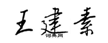 王正良王建素行书个性签名怎么写