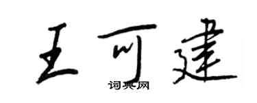 王正良王可建行书个性签名怎么写