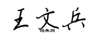 王正良王文兵行书个性签名怎么写