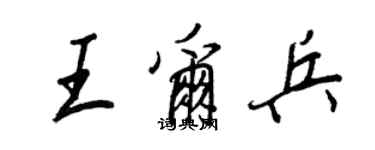 王正良王尔兵行书个性签名怎么写