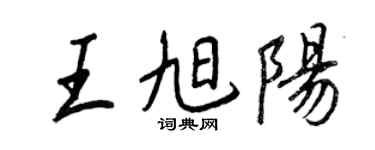 王正良王旭阳行书个性签名怎么写