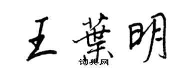 王正良王叶明行书个性签名怎么写