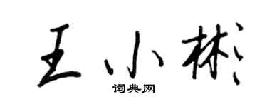 王正良王小彬行书个性签名怎么写