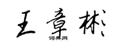 王正良王章彬行书个性签名怎么写
