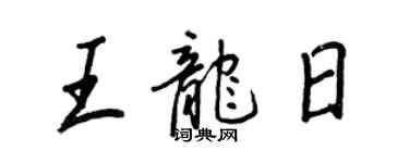 王正良王龙日行书个性签名怎么写