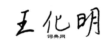 王正良王化明行书个性签名怎么写