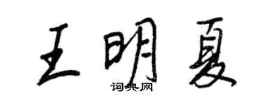 王正良王明夏行书个性签名怎么写