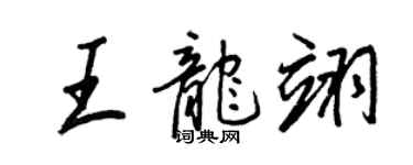 王正良王龙翊行书个性签名怎么写