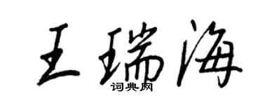 王正良王瑞海行书个性签名怎么写