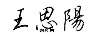 王正良王思阳行书个性签名怎么写