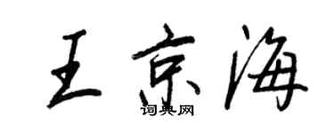 王正良王京海行书个性签名怎么写