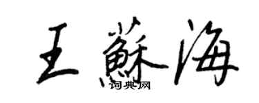 王正良王苏海行书个性签名怎么写