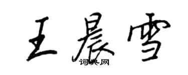 王正良王晨雪行书个性签名怎么写