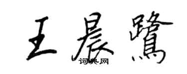 王正良王晨鹭行书个性签名怎么写