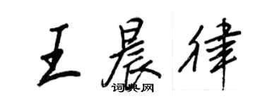 王正良王晨律行书个性签名怎么写