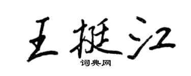 王正良王挺江行书个性签名怎么写