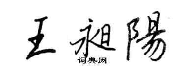 王正良王昶阳行书个性签名怎么写
