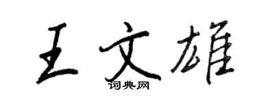 王正良王文雄行书个性签名怎么写