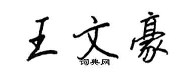 王正良王文豪行书个性签名怎么写
