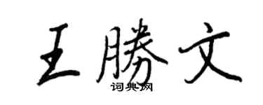 王正良王胜文行书个性签名怎么写