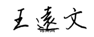 王正良王远文行书个性签名怎么写