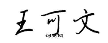 王正良王可文行书个性签名怎么写