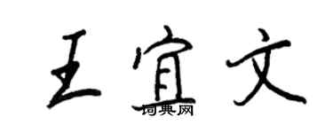 王正良王宜文行书个性签名怎么写