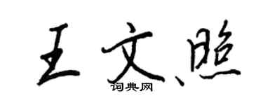 王正良王文照行书个性签名怎么写