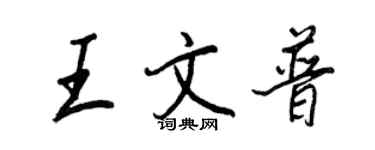 王正良王文普行书个性签名怎么写