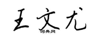 王正良王文尤行书个性签名怎么写