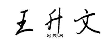 王正良王升文行书个性签名怎么写