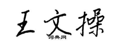 王正良王文操行书个性签名怎么写