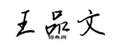 王正良王品文行书个性签名怎么写