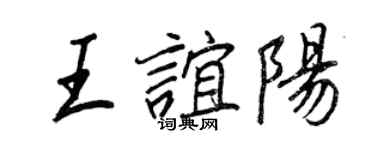 王正良王谊阳行书个性签名怎么写