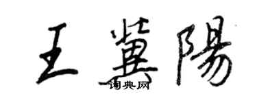 王正良王冀阳行书个性签名怎么写