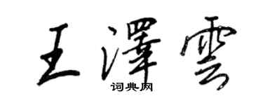 王正良王泽云行书个性签名怎么写